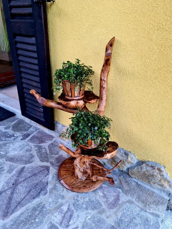 Casa Villanova FAMILY Nova Vas nad Dragonjo Dış mekan fotoğraf